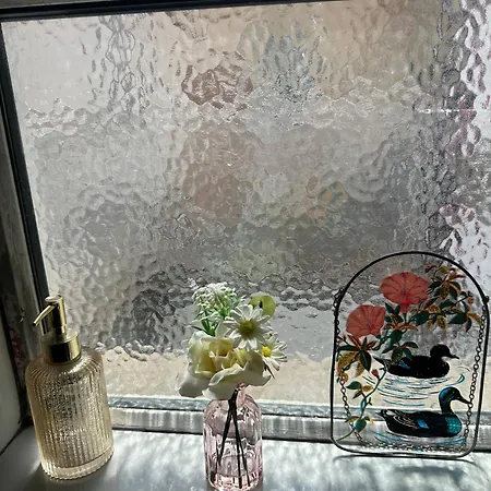 Charming 2-bedroom In Center * Dublin